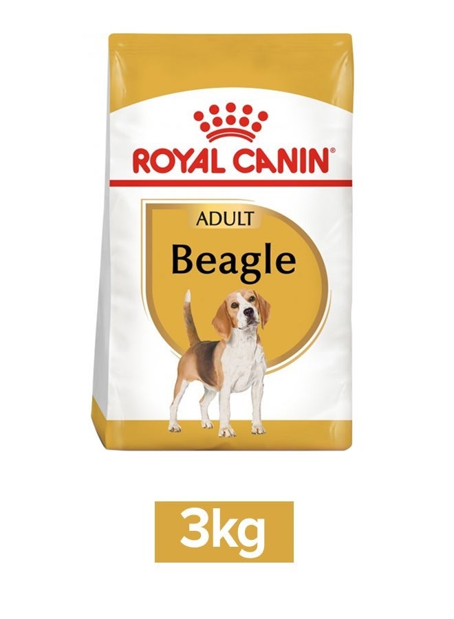Breed Health Nutrition Beagle Adult 3 KG