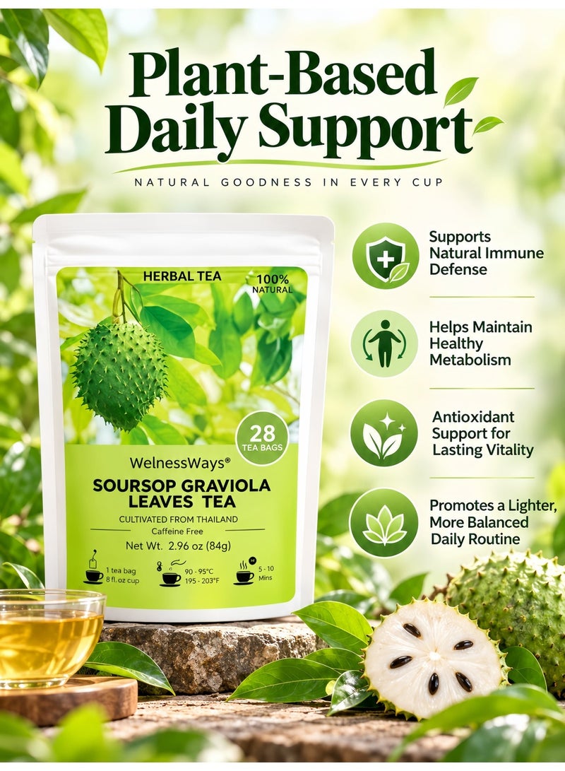 WelnessWays Soursop Graviola Leaves Tea, Pure Natural Herbal Tea, Caffeine Free, 28 Count, Supports Overall Wellness & Sleep - Image 3