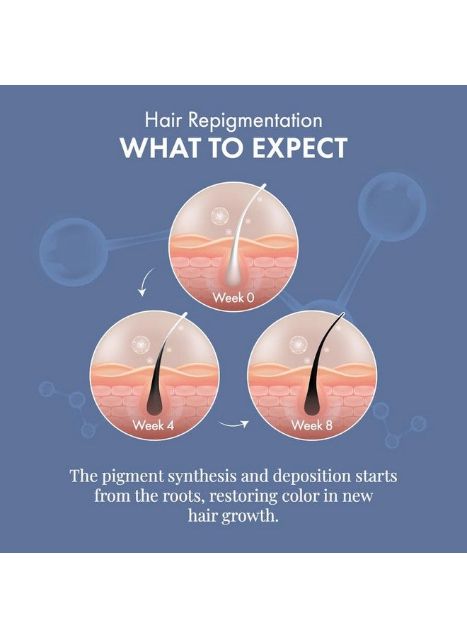 THRIVECO سيروم برايم لمكافحة الشيب من ثرايفكو | يعكس ويحد من الشيب | يستعيد لون الشعر الطبيعي | مع أركيدين® + أركوليس® + البيوتين + مستخلص الشاي الأسود | خفيف الوزن، غير لزج وبدون رائحة | للرجال والنساء | 30 مل - Image 5