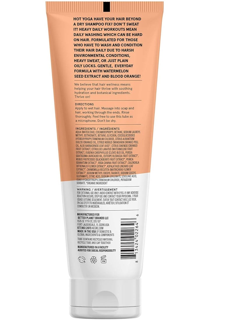 Acure Simply Smoothing Shampoo - Smoothes and reduces frizz - pzsku/Z87CFAE09970E41EABF32Z/45/_/1715080450/cf803fce-68aa-4fb9-8a75-7fd85a6833c7