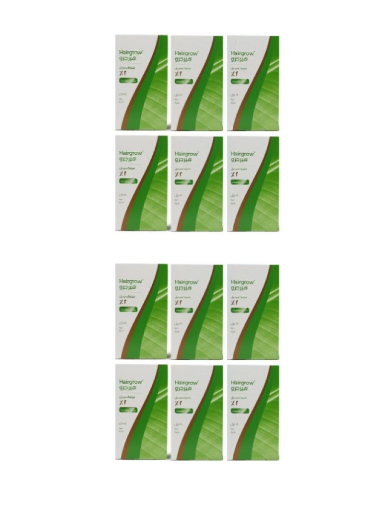 Dar Al Dawa Hairgrow 2% Minoxidil 12 Months Supply 12PCS  - Image 1
