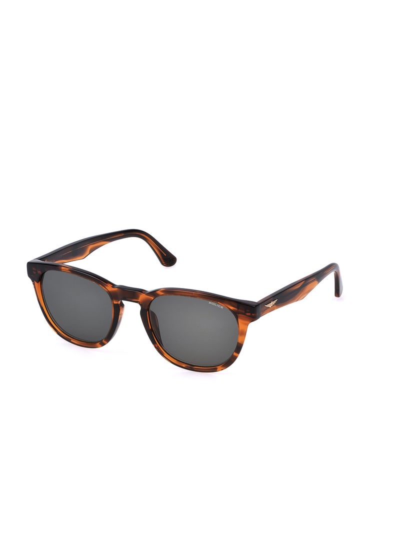 POLICE - Full Rim PANTOS Sunglasses SPLP22M530836 - Image 1