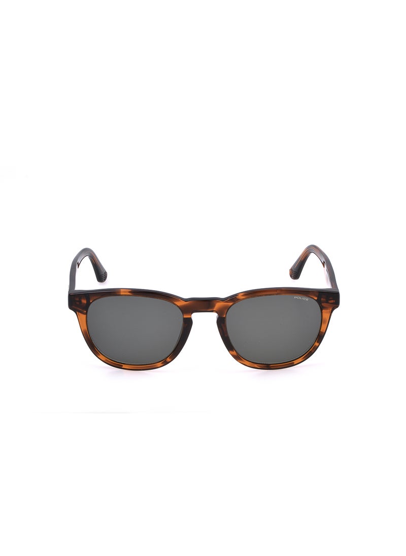 POLICE - Full Rim PANTOS Sunglasses SPLP22M530836 - Image 1