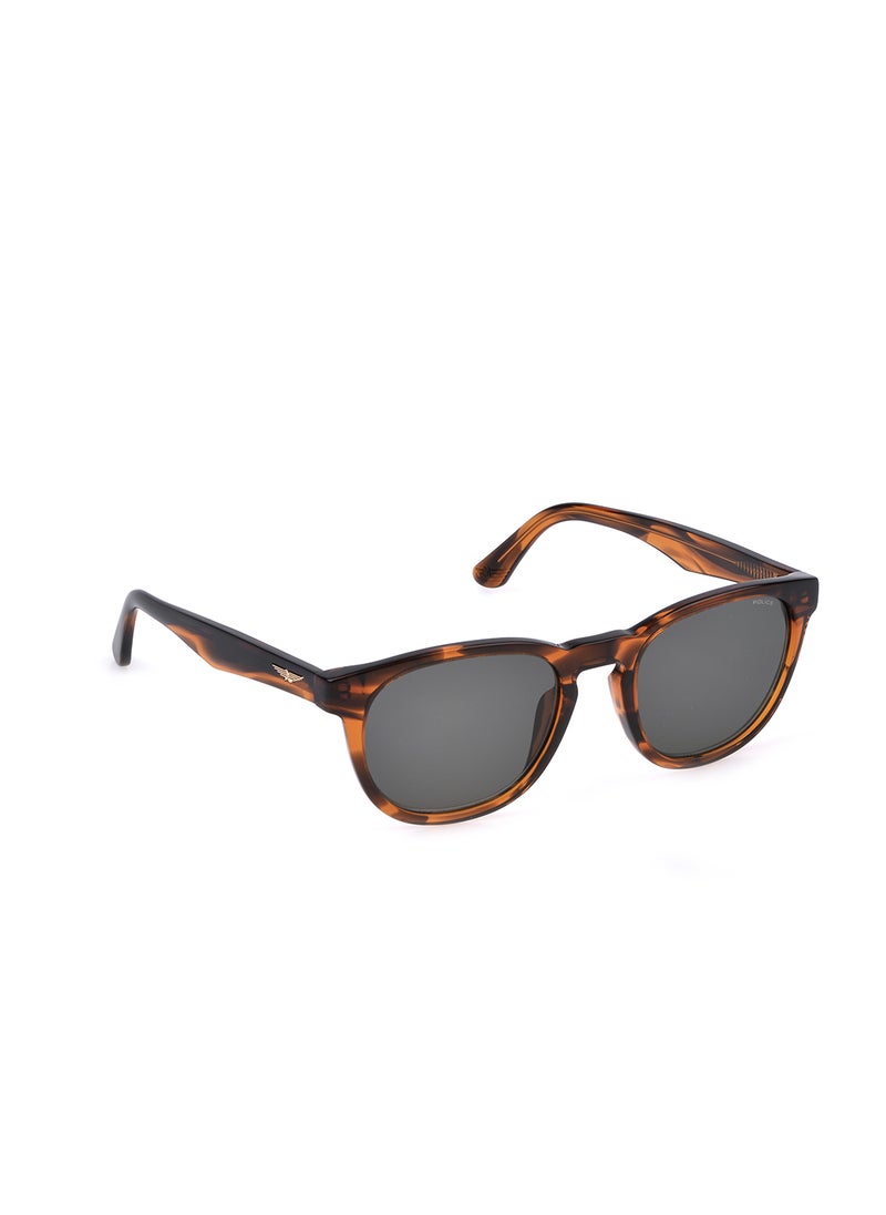 POLICE - Full Rim PANTOS Sunglasses SPLP22M530836 - Image 1