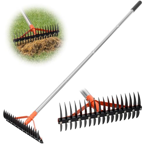 CKLT Thatch Rake for Lawns 18 Sharp Tempered Spring Steel Tines Dethatcher Rake Heavy Duty Dethatching Rakes with 62.5" Adjustable Stainless Steel Handle for Lawn Care，Dead Grass, Garden, Yard - Image 1