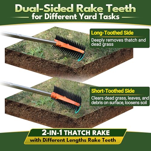 CKLT Thatch Rake for Lawns 18 Sharp Tempered Spring Steel Tines Dethatcher Rake Heavy Duty Dethatching Rakes with 62.5" Adjustable Stainless Steel Handle for Lawn Care，Dead Grass, Garden, Yard - Image 3