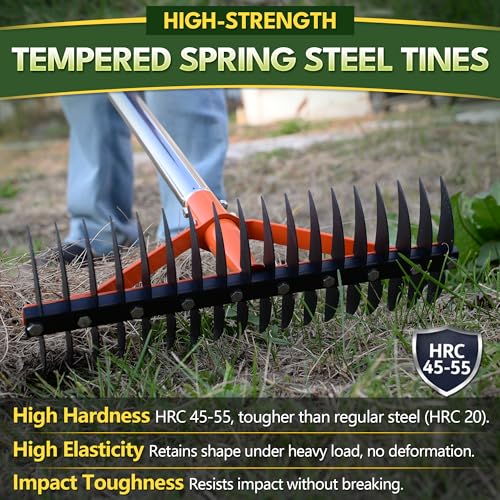 CKLT Thatch Rake for Lawns 18 Sharp Tempered Spring Steel Tines Dethatcher Rake Heavy Duty Dethatching Rakes with 62.5" Adjustable Stainless Steel Handle for Lawn Care，Dead Grass, Garden, Yard - Image 2