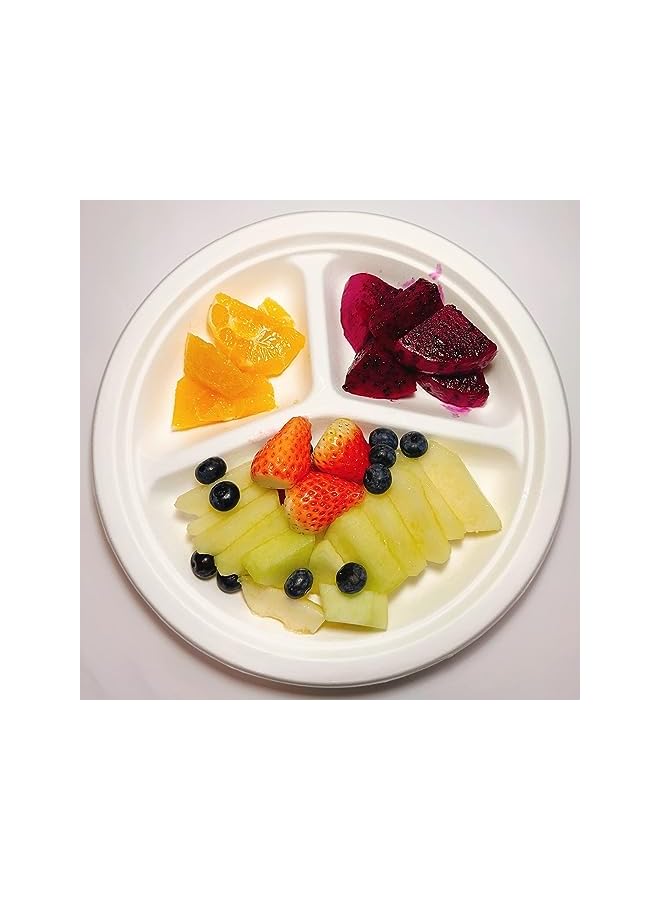 PROMASS Compostable [10-Inch, 50-Pcs] Heavy-Duty Quality Disposable 3-Compartment Paper Plates, Made of Bagasse Cane Fibers, Perfectly Eco-Friendly and Natural Biodegradable - Image 2
