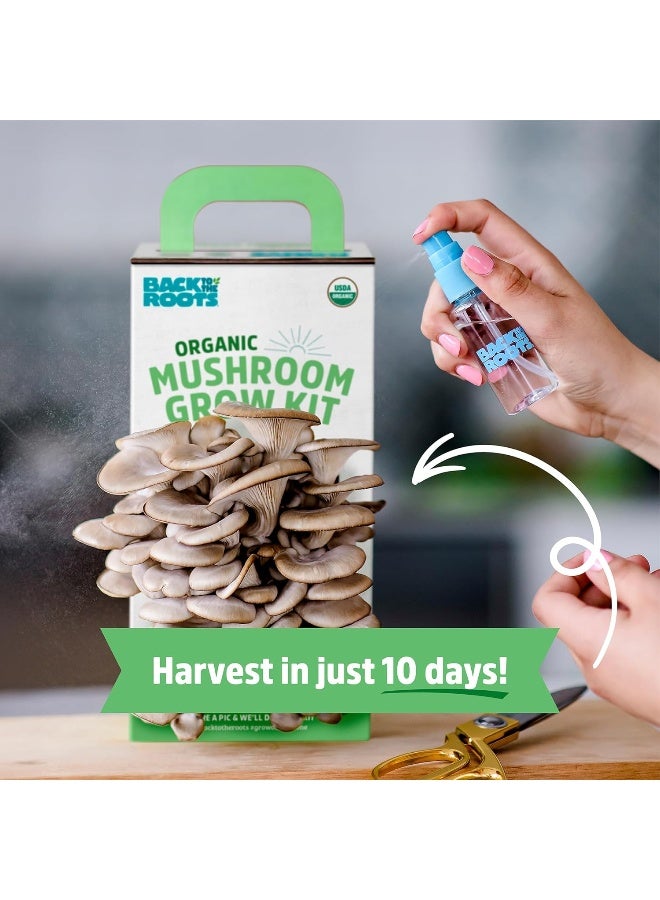 Back to the Roots Organic Mushroom Growing Kit  - Image 1