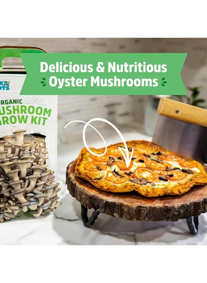 Back to the Roots Organic Mushroom Growing Kit  - Image 2