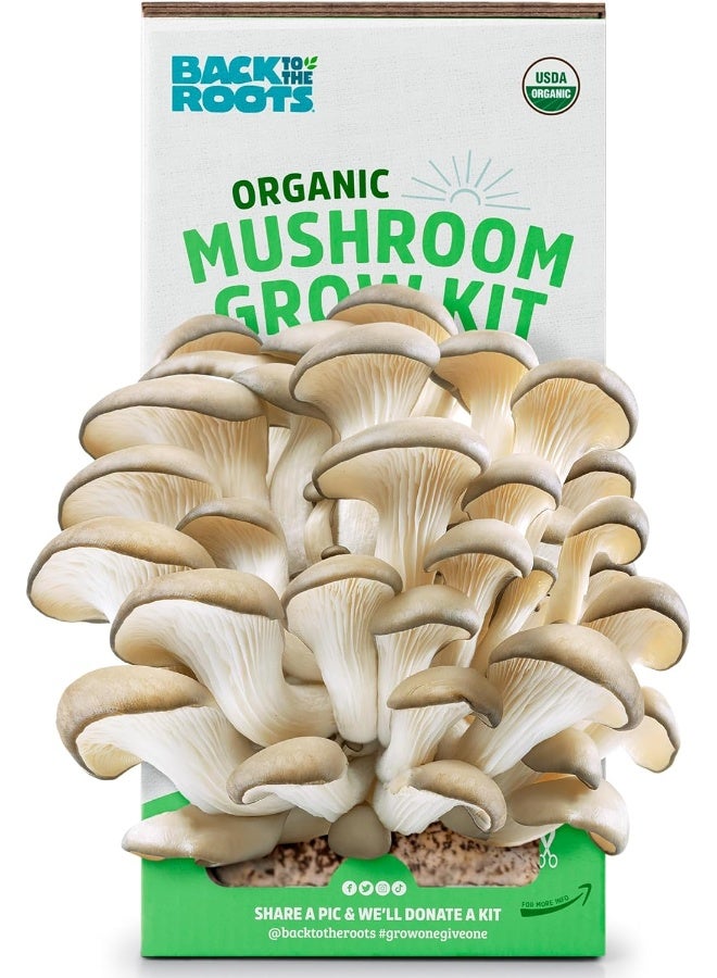 Back to the Roots Organic Mushroom Growing Kit  - Image 3