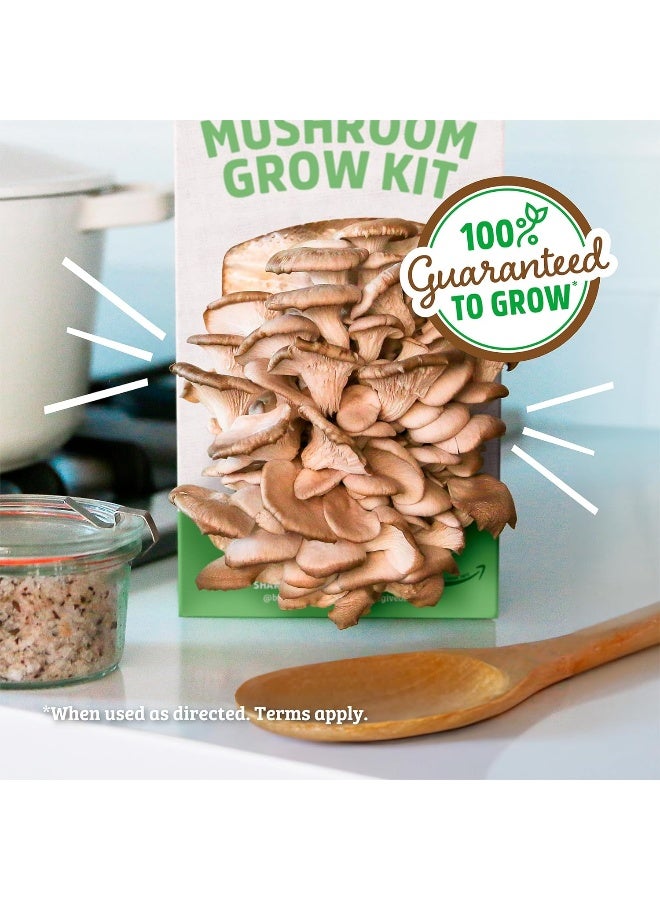 Back to the Roots Organic Mushroom Growing Kit  - Image 4