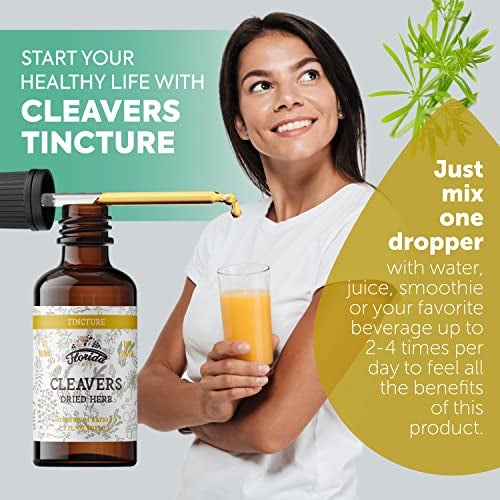 FLORIDA HERBS Cleavers Tincture, Organic Cleavers Extract, Cleavers Drops (Galium aparine) Dried Herb - Image 2