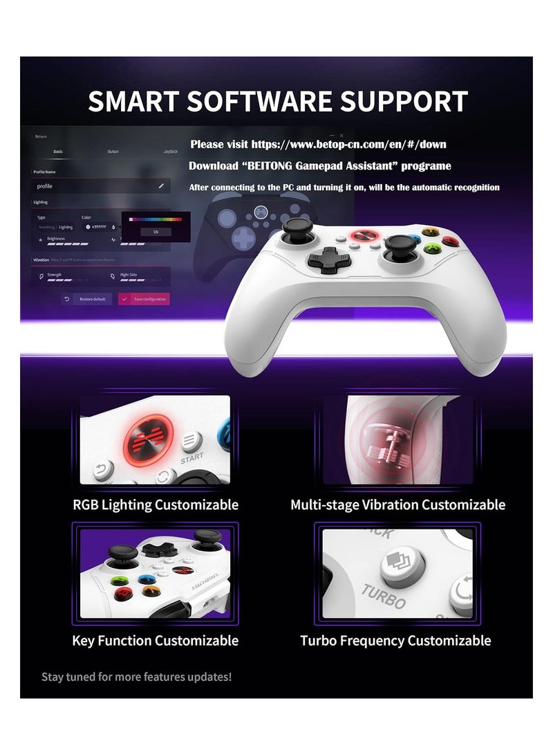 Gamepad BEITONGAsura2Pro Wireless Game Controller Switch Controller PC Gaming Controller, Compatible with Switch/Switch Lite/OLED/Windows/Steam Deck/Android & iOS,6 Axis Motion Control/Advanced Button