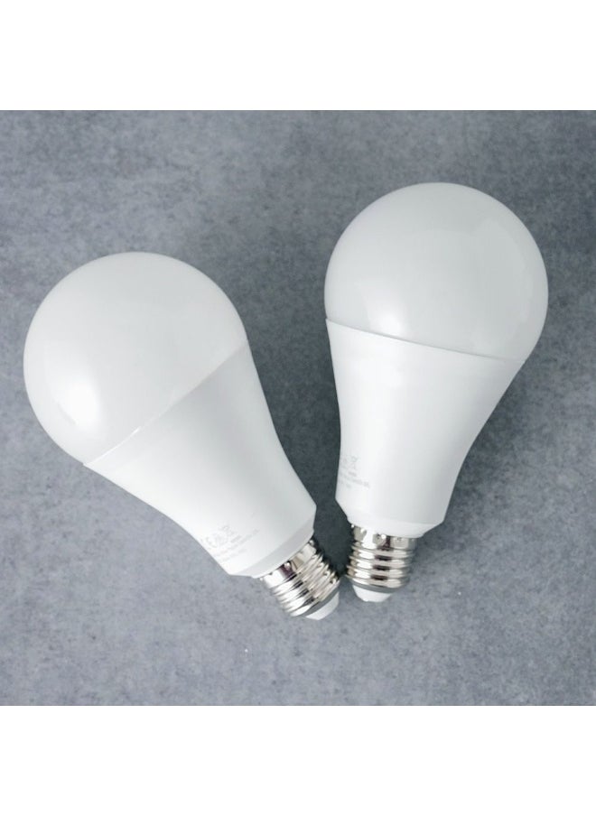 DANUBE HOME Danube Home Milano LED Bulb 2Pcs Set 20W E-27 6500K | Light Bulbs Energy Saving Lamp For Living Room Bedroom Dining Room Offices  - Image 2