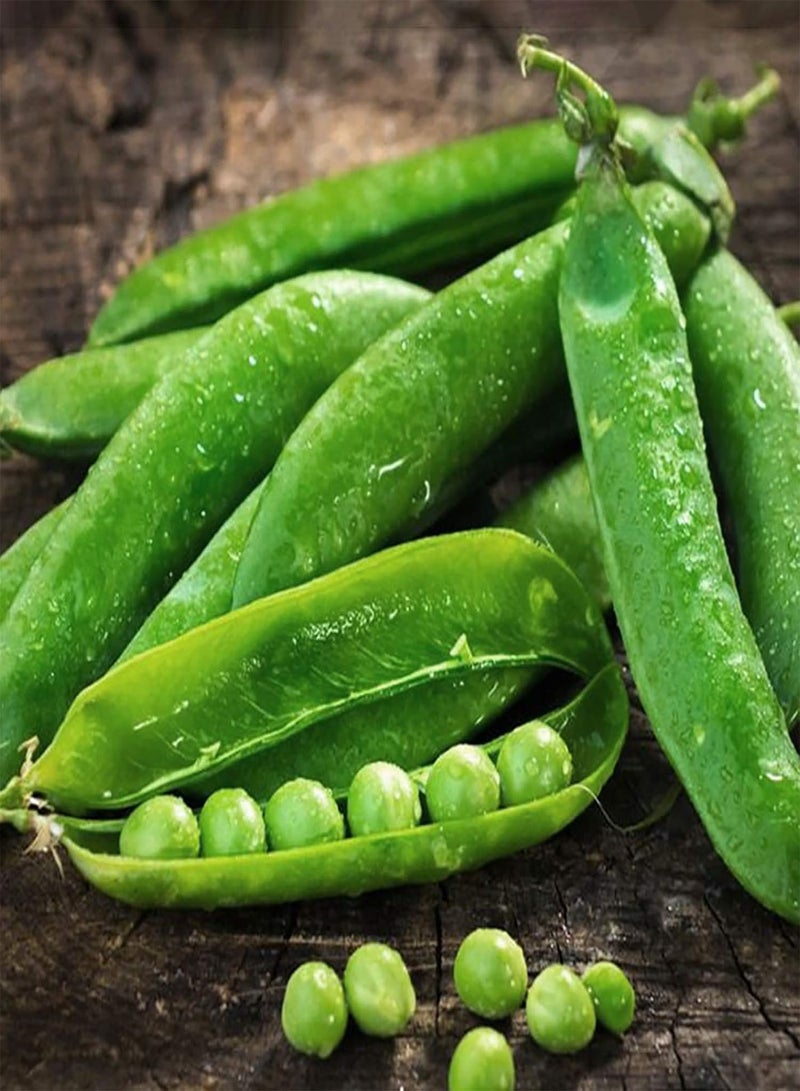 GGOOT 400Pcs Pea Seeds,Fast Growing Climbing Plants Easy to Grow Garden Pea Plants Vegetable Seeds Pea Seeds - Image 3