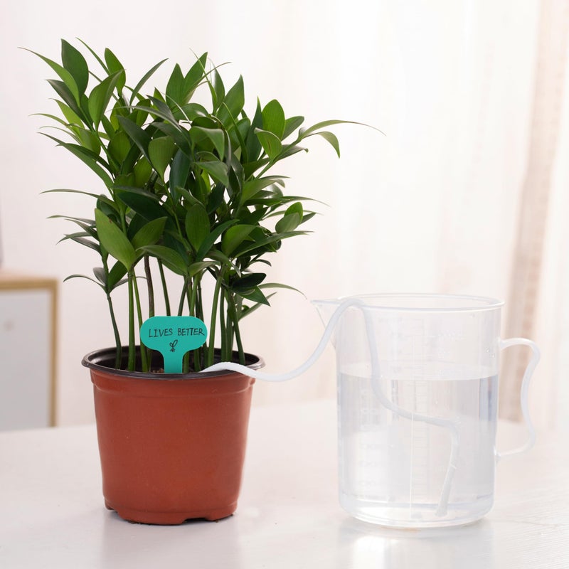 ORIMERC 30 feet 1/6 inch Self Watering Capillary Wick Cord Vacation Plant Sitter DIY Hydroponic Wicking Self-Watering Planter Pot Automatic Water System Device Potted Violet Auto Seedling Waterer Rope  30 feet (1/6 inch) - Image 3
