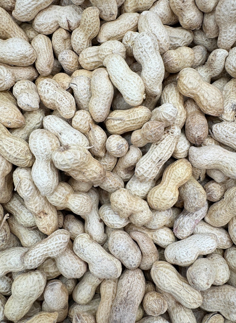 PEANUT WITH SKIN 500 GM