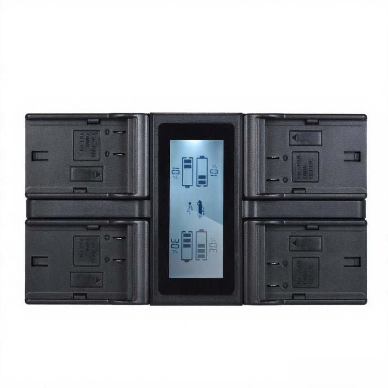 Battery Charger: 4-Port DMW-BLF19E - High Efficiency LCD Display Li-Ion Battery Charger for Panasonic Lumix Digital Cameras, Outdoor Shooting