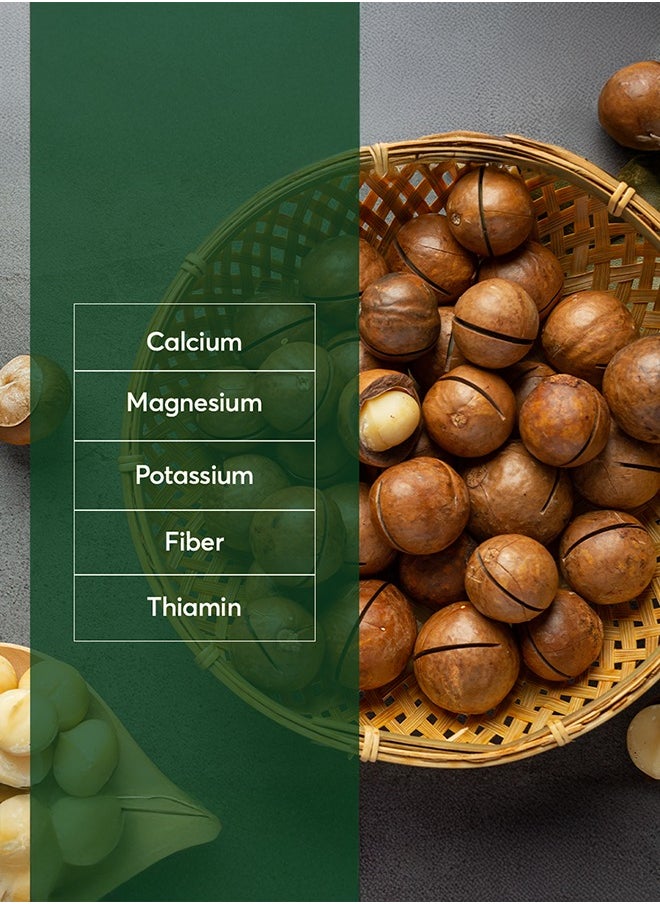 The Caphe Vietnam - Premium Macadamia Nuts - 1 KG | VIP Size With Shell | Unsalted & Roasted | Premium Vietnamese Macadamia Nuts - Image 1