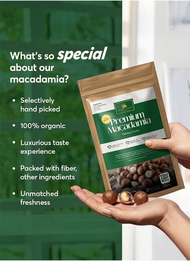 The Caphe Vietnam - Premium Macadamia Nuts - 1 KG | VIP Size With Shell | Unsalted & Roasted | Premium Vietnamese Macadamia Nuts - Image 1