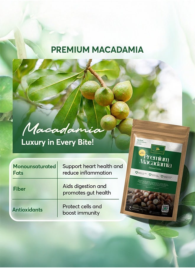 The Caphe Vietnam - Premium Macadamia Nuts - 1 KG | VIP Size With Shell | Unsalted & Roasted | Premium Vietnamese Macadamia Nuts - Image 1