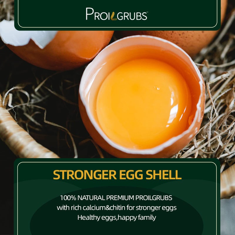 PROILGRUBS 10 LBS - Non-GMO-Dried Worms for Chickens All Natural Dried Black Soldier Fly Larvae Treats, High Protein Worms for Chickens, Hens, Birds... - Image 3