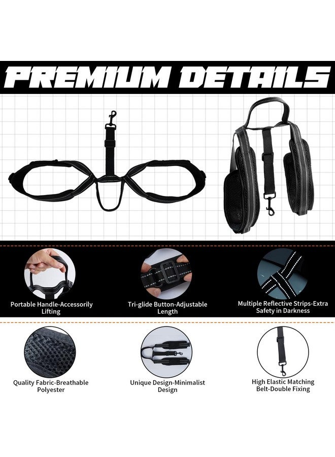 ROZKITCH Pet Dog Support Harness Rear Lifting Harness for Back Legs Reflective Dog Sling Vet Approved for Old Helps with Poor Stability Hind Legs, Joint Injuries Elderly Arthritis ACL Rehab Black L - Image 4