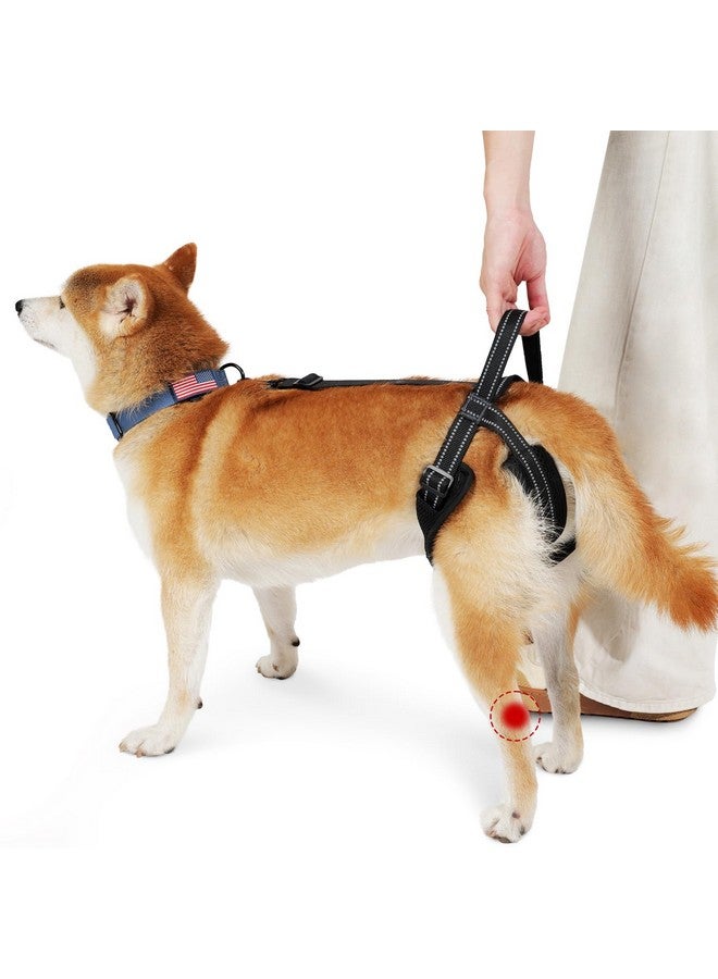 ROZKITCH Pet Dog Support Harness Rear Lifting Harness for Back Legs Reflective Dog Sling Vet Approved for Old Helps with Poor Stability Hind Legs, Joint Injuries Elderly Arthritis ACL Rehab Black L - Image 1