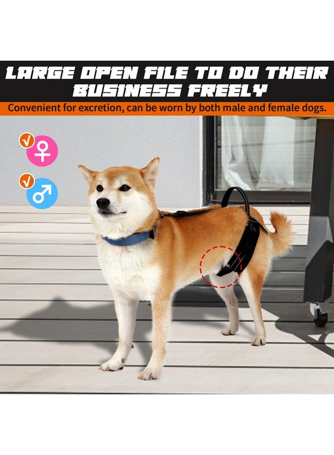 ROZKITCH Pet Dog Support Harness Rear Lifting Harness for Back Legs Reflective Dog Sling Vet Approved for Old Helps with Poor Stability Hind Legs, Joint Injuries Elderly Arthritis ACL Rehab Black L - Image 3