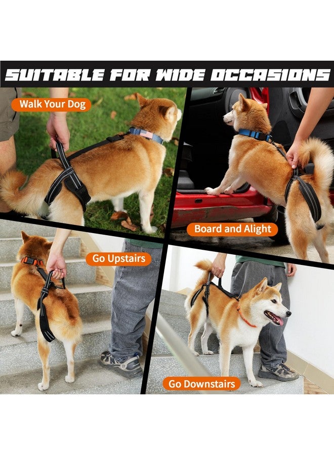 ROZKITCH Pet Dog Support Harness Rear Lifting Harness for Back Legs Reflective Dog Sling Vet Approved for Old Helps with Poor Stability Hind Legs, Joint Injuries Elderly Arthritis ACL Rehab Black L - Image 2