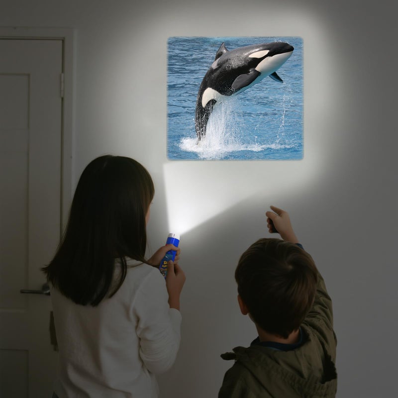 Pup Go Sea World Projector Flashlight for Kids Ages 3 4 5 6 7, with 3 Discs 24 Images, Sea Creatures Toys for Boys Girls, Shark Toy for Kid, Occean Night Light Projector, Shark Gifts Games for Kids - Image 2