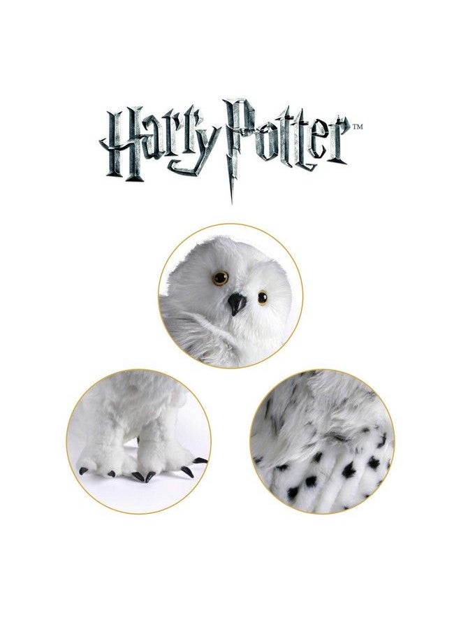 Harry Potter Hedwig Collector Plush - pzsku/Z87E0CB0F2A9B562C78D1Z/45/_/1692165502/9c1fbc9e-927f-4b41-ac66-b0a2bbb4131e