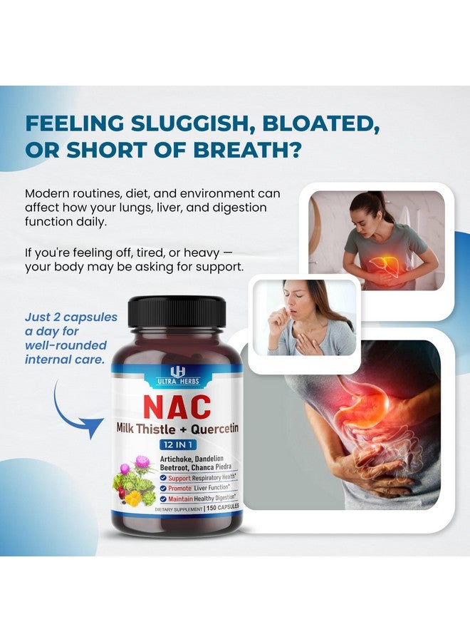 ULTRA HERBS مكمل NAC N-Acetyl Cysteine مدعوم بخلاصة الشوك المقدس وكيرسيتين - دعم المناعة وصحة الجهاز التنفسي وتنظيف الكبد | 150 كبسولة - Image 2