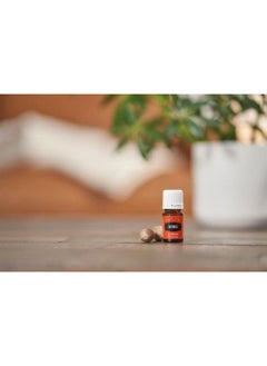 Nutmeg Essential Oil 5ml by Young Living Essential Oils - pzsku/Z87E11B679A57FB5A24ACZ/45/_/1681740404/9b267863-109b-4010-8f57-137950d43bef