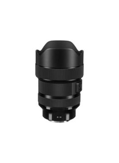 SIGMA Sigma 14-24mm f/2.8 DG DN Art Lens for Sony E  - Image 4