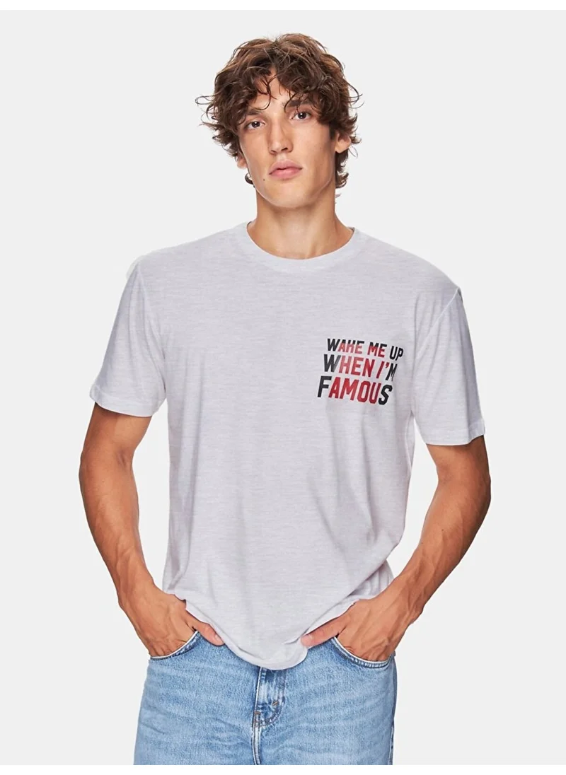 LTB Gray T-Shirt