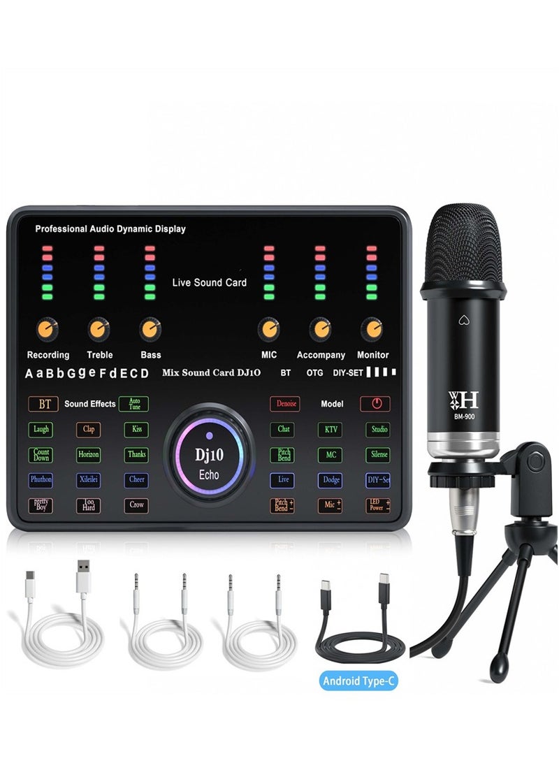Wireless Karaoke Microphone Professional Condenser Sound Card Set  - Image 1