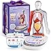 Science Can Human Body Model for Kids Interactive Human Anatomy Talking Model 11 Inch Realistic Anatomical Assembly Kit 15PCS Removable Parts Guide Educational STEM Toys Gifts for Kids Aged 6 - Image 2