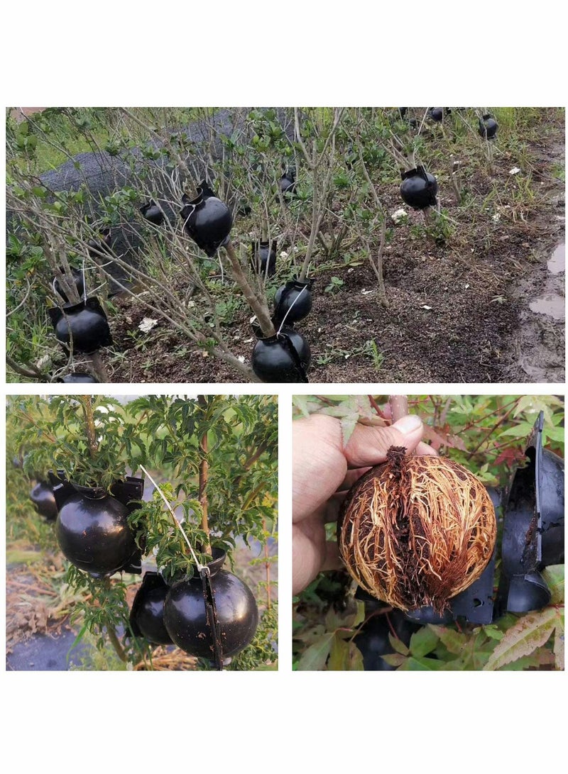 Excefore 15Pcs Plant Root Growing Box Grafting Device, Rooting Ball Propagation High Pressure, Assisted Cutting Plants Rooting Growing Breeding for Reproduction Equipment(S) - Image 5