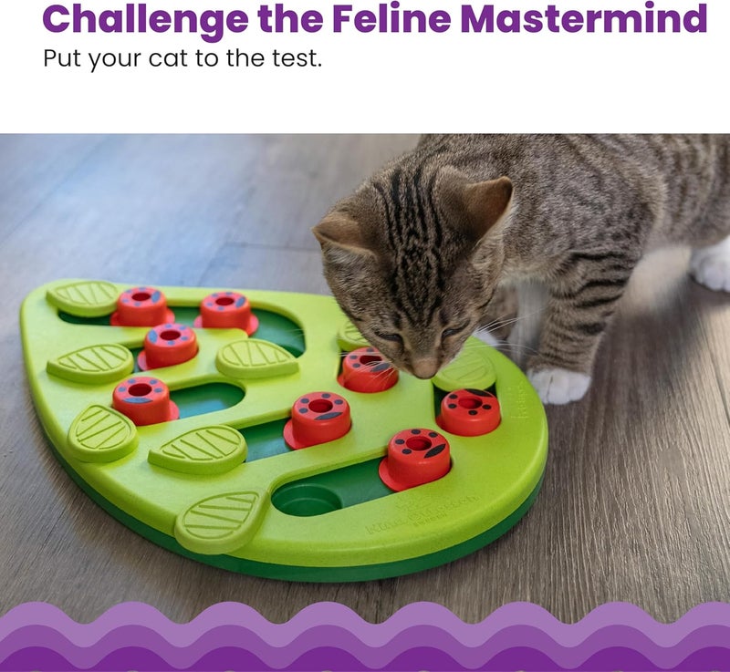 Catstages Nina Ottosson by Petstages Buggin' Out Puzzle & Play - Interactive Cat Treat Puzzle - Image 2