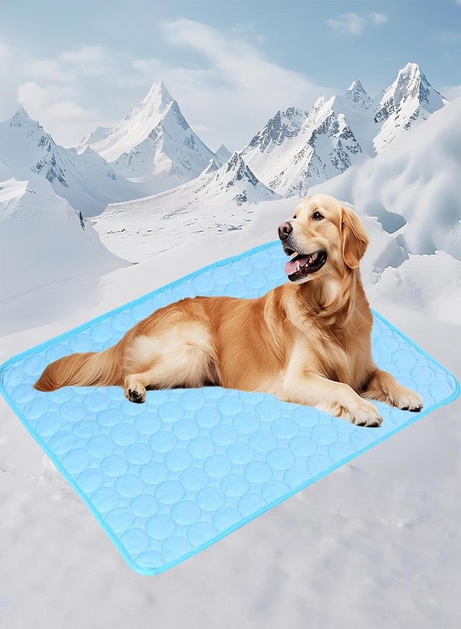 Pretoee Dog Cooling Mat - 40" x 28" Washable Instant Cooling Pet Pad for Dogs & Cats, Pet Sleeping Bed for Indoor Outdoor in Summer, Portable Non-Toxic Kennel Puppy Crate Pad, Blue (M(25'' x 20'')) - Image 1