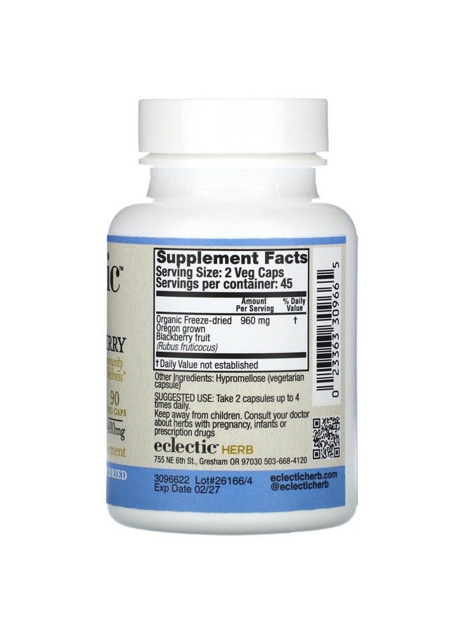 Eclectic Institute معهد إكليكتك فواكه التوت الأسود المجفف بالتجميد الطازج غير المعدلة وراثيًا | 90 حبة (480 ملغ) - Image 2