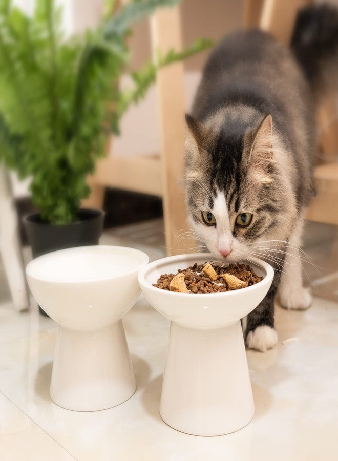 CEEFU Extra Wide Elevated Ceramic Cat Water Bowl - 6.2" Deeper Dish for Whisker Fatigue Relief, 5" Height for Easy Feeding, Lead & Cadmium Free, Durable Raised Cat Bowls, White - Image 4