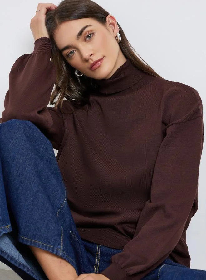 Styli Coffee Brown Turtleneck Oversized Sweater