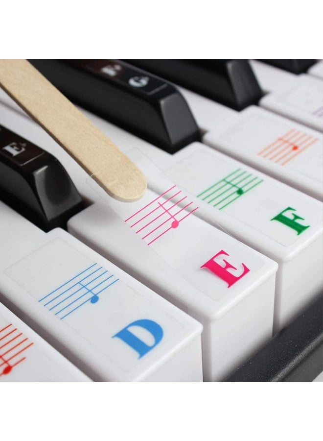 ECVV ملصقات لوحة مفاتيح البيانو ECVV للمبتدئين 88/76/61/54/49/37 مفتاحًا شفافة وقابلة للإزالة ملصقات مفاتيح البيانو بأحرف كبيرة ملونة مثالية للأطفال - Image 3