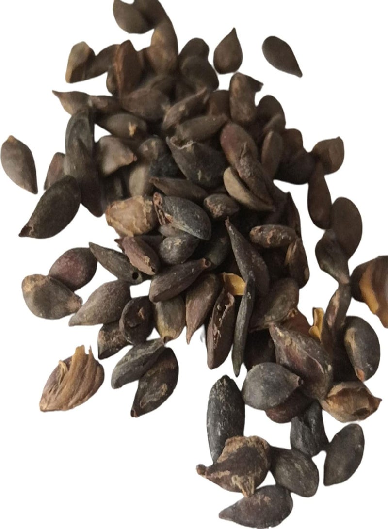 جي جوت 50 قطعة/حقيبة بذور التفاح الزخرفية اللذيذة غزيرة الإنتاج في الأماكن المغلقة والمفتوحة بذور الفاكهة ديكور الحديقة بذور بونساي قابلة للحياة في الفناء المنزلي - Image 3