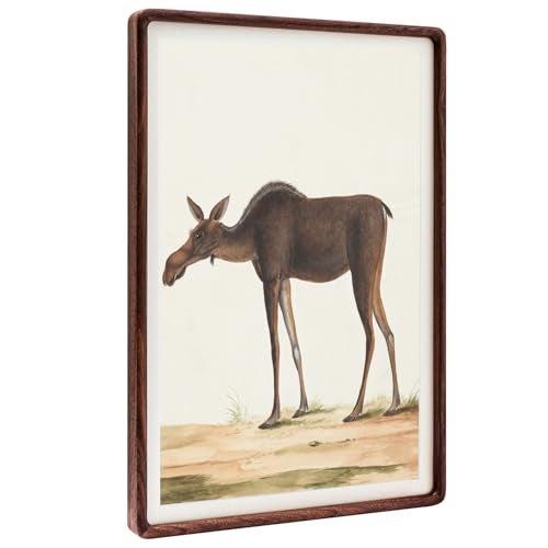 Zibrelte 12x18 Frame Natural, Solid Walnut Wood 12 x 18 Poster Frame with Mat for 11 x 17 Image, Wall Gallery Mounting 18 x 12 Inch Large Picture Photo Frame - Image 2