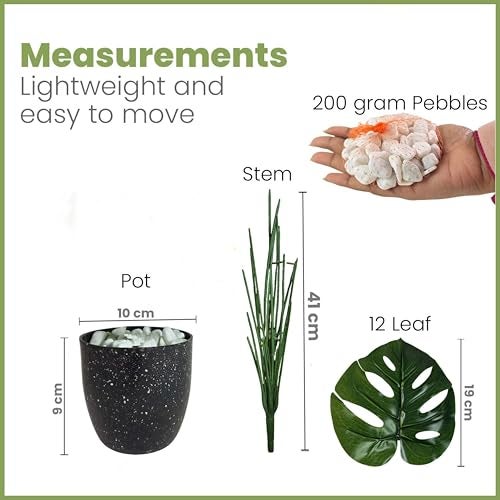 Go Hooked Artificial Indoor Plant with Complimentary Pot and Pebbles | 12 Patterned Leaves, Monstera Green Plants | Decorative Potted Plant for Home Decor, Living Room & Office Desk (Design 5) - Image 2