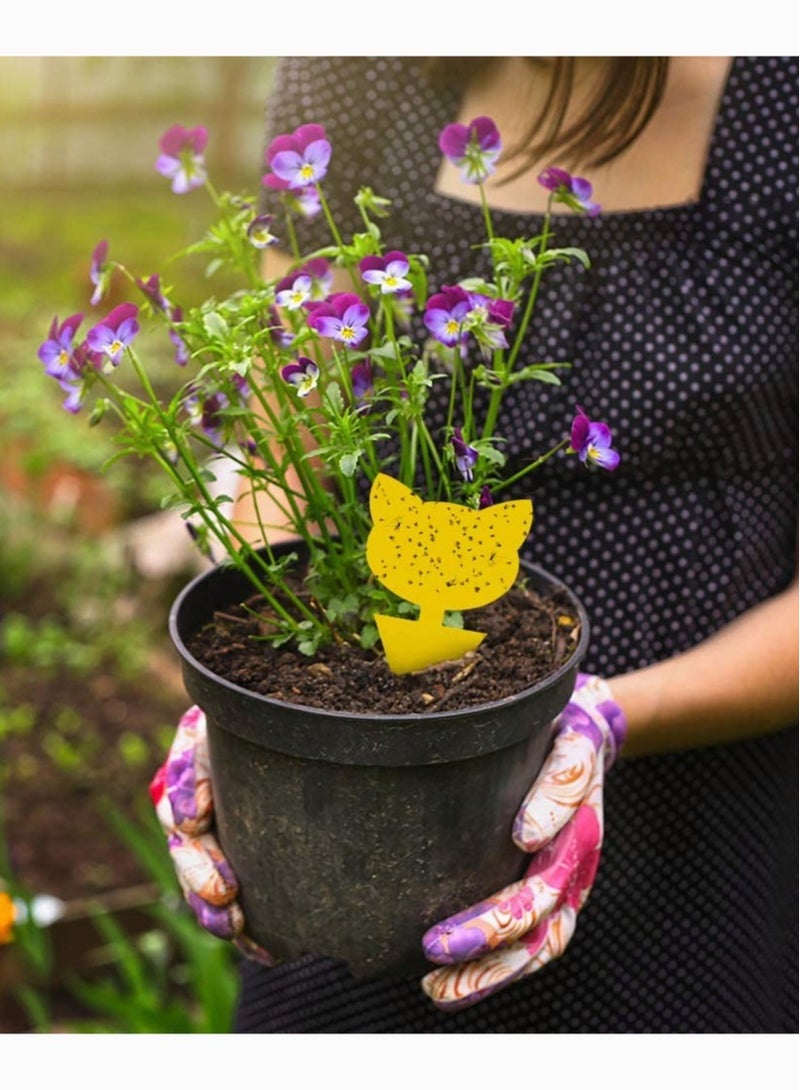 سيوسي Sticky Trap, Fruit Fly and Fungus Gnat Trap Killer Indoor and Outdoor, such as Whiteflies, Aphids, Leafminers, Protect the Plant, Non-Toxic and Odorless 12 Pack - Image 4